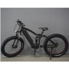 OEM Electric Sports Bike Full Suspension Electric Bicycle/ Fat Bike Electric